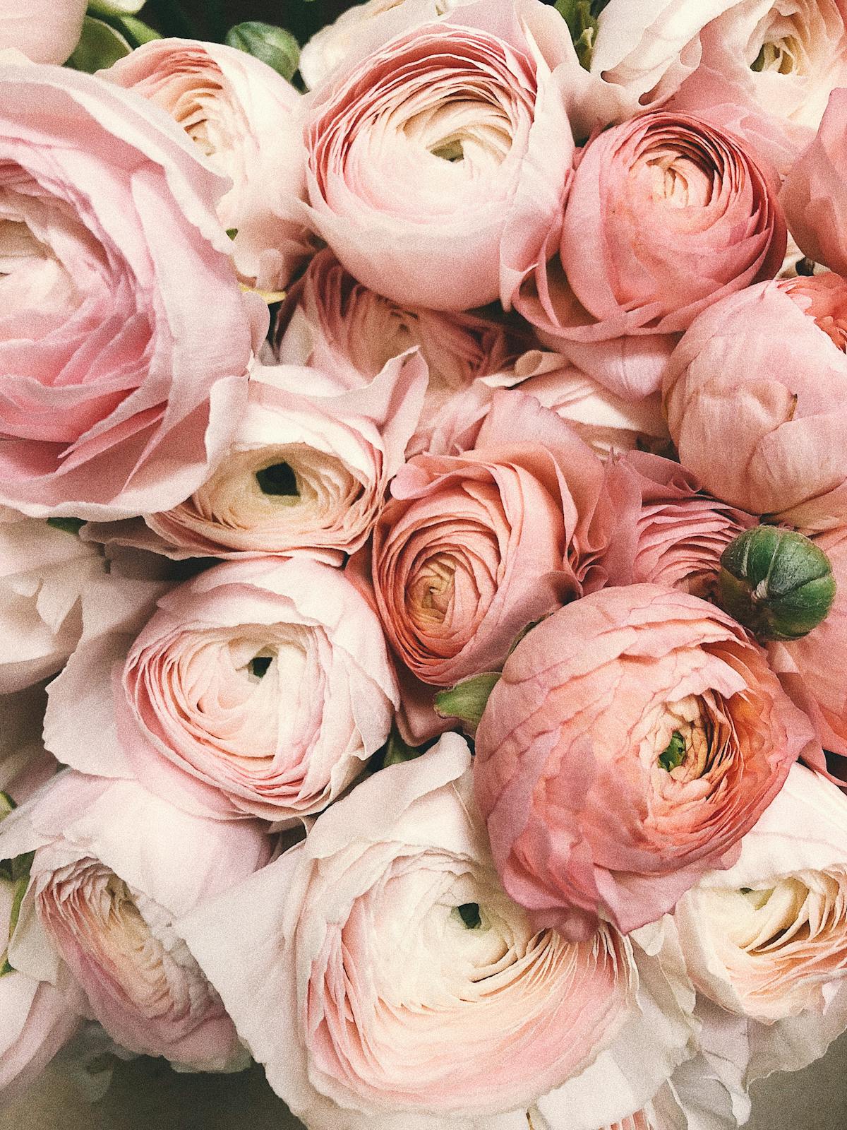 Wedding floristry