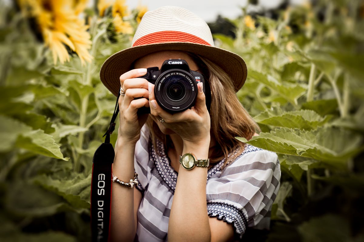 Wedding photographer